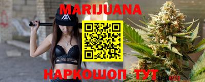 тгк Кингисепп