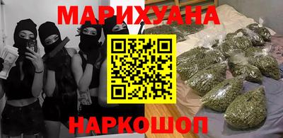 тгк Кингисепп