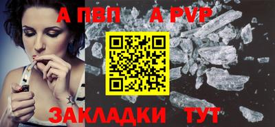 тгк Кингисепп