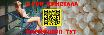 тгк Кингисепп