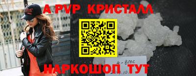 тгк Кингисепп