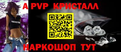 тгк Кингисепп