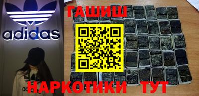 тгк Кингисепп