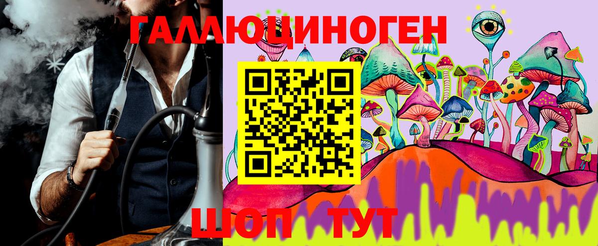 Галлюциногенные грибы прущие грибы  Вход с VPN  Галлюциногенные грибы мухоморы  Электрогорск 